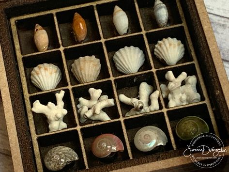 jessica dvergsten artist miniature shell collection