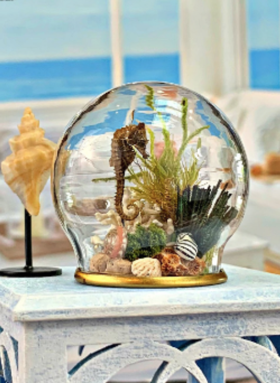 jessica dvergsten artist miniature seahorse collection