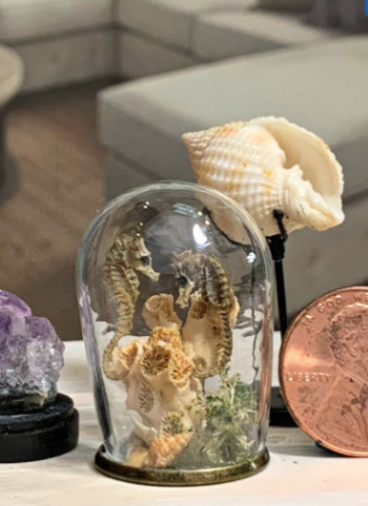 jessica dvergsten artist miniature seahorse collection